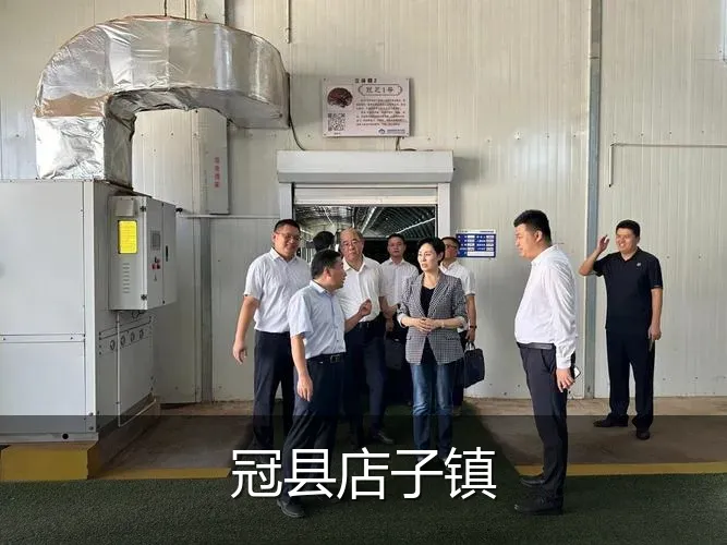 冠县店子镇