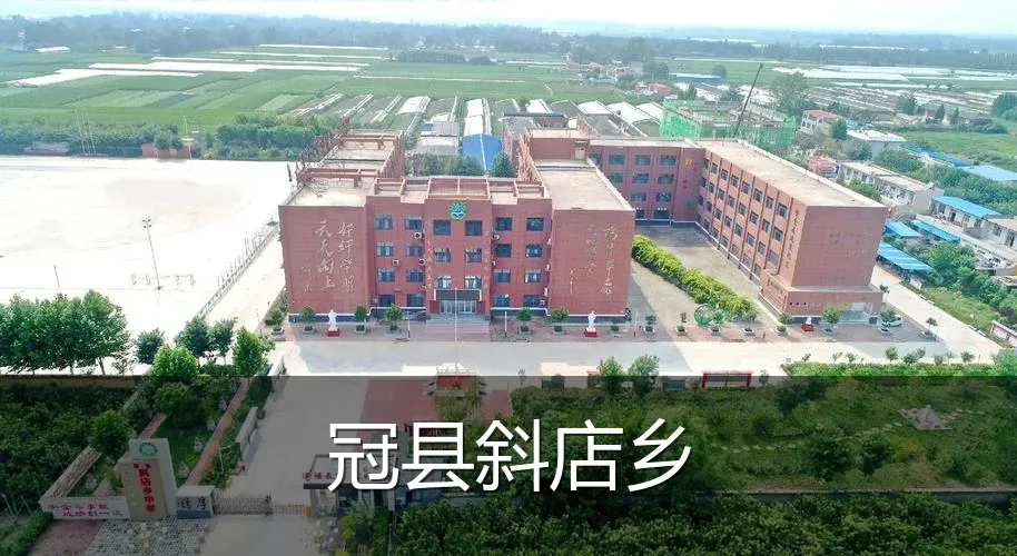 冠县斜店乡
