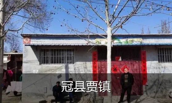 冠县贾镇
