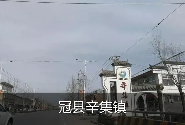 冠县辛集镇